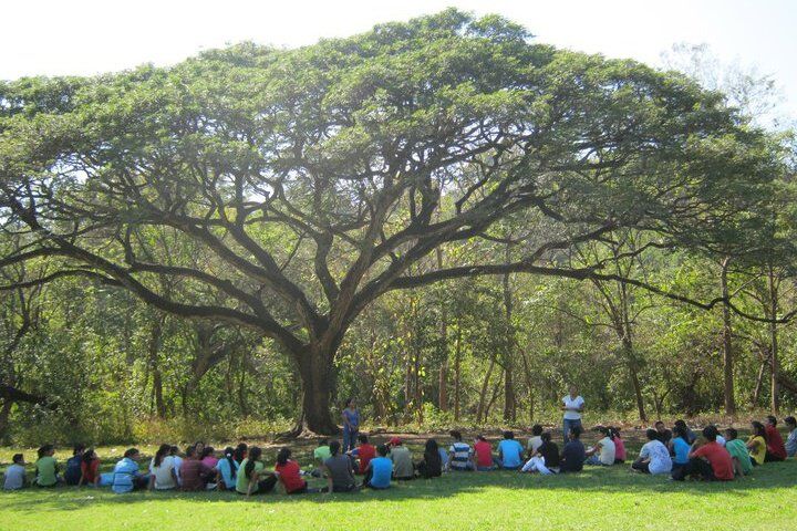 Project Taquillo in El Salvador